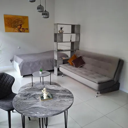 アパート Jono Kalnelio Apartamentai クライペダ