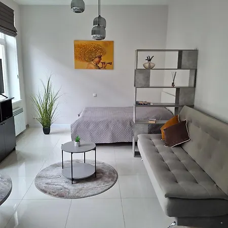 Jono Kalnelio Apartamentai クライペダ