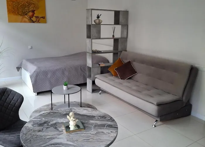 Διαμέρισμα Jono Kalnelio Apartamentai Κλαϊπέντα